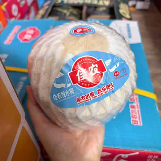 泰国佳垚青椰 椰子 商品图7