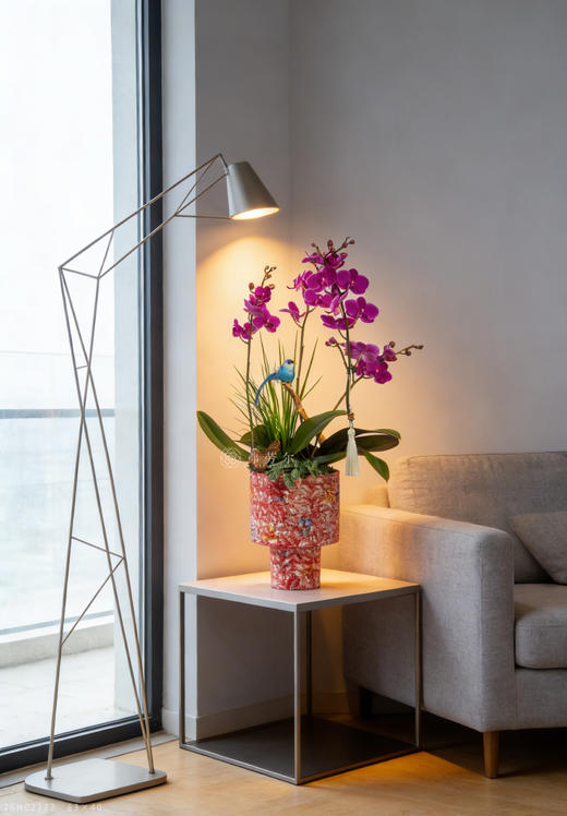 码上心花开 商品图0