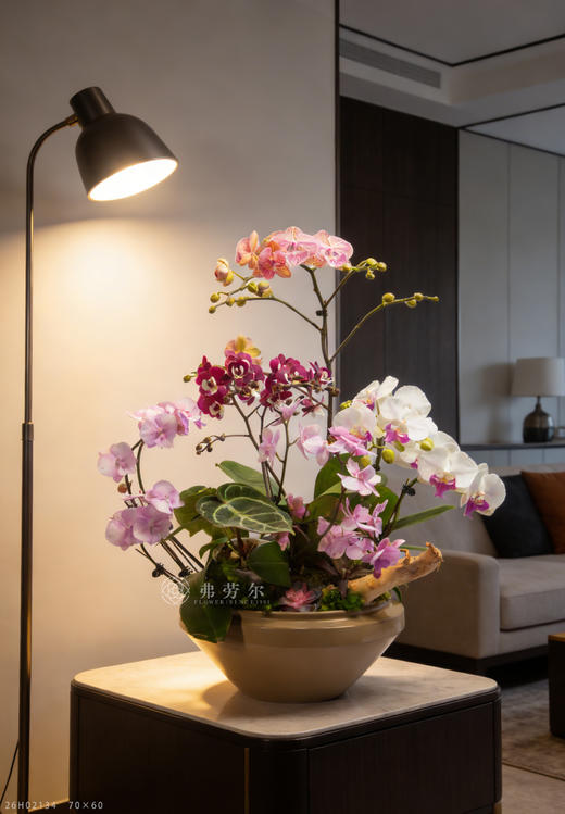 马年聚宝盆 商品图0