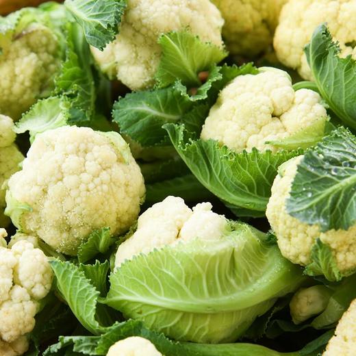 那云那南有机白花苔 300g/份 商品图1