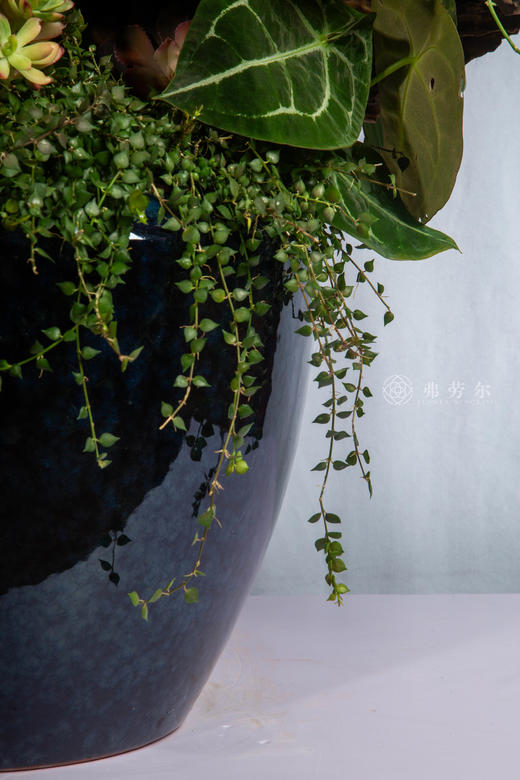 玛瑙镶福运 商品图3