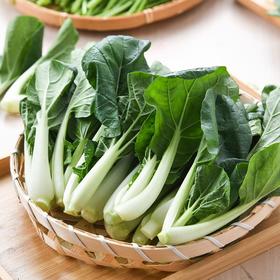 那云那南有机奶白菜苗 250g/份