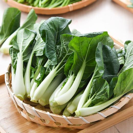 那云那南有机奶白菜苗 250g/份 商品图0
