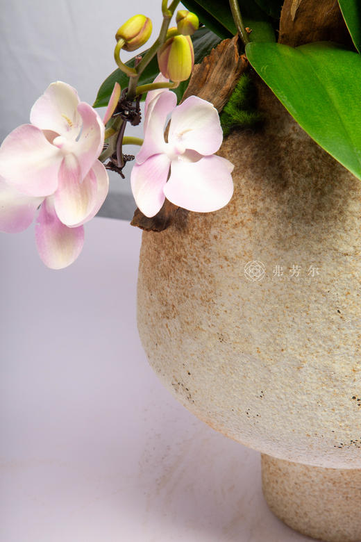 马驰月圆夜 商品图2