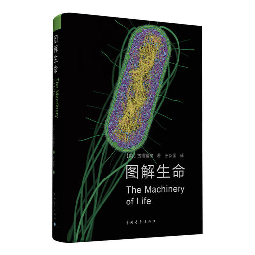 图解生命 [美]古德赛尔 中国青年出版社 商品图1