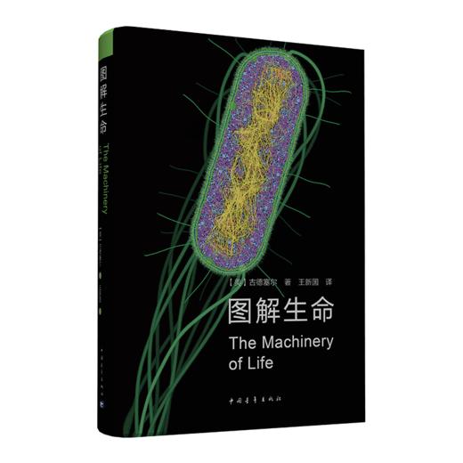 图解生命 [美]古德赛尔 中国青年出版社 商品图2