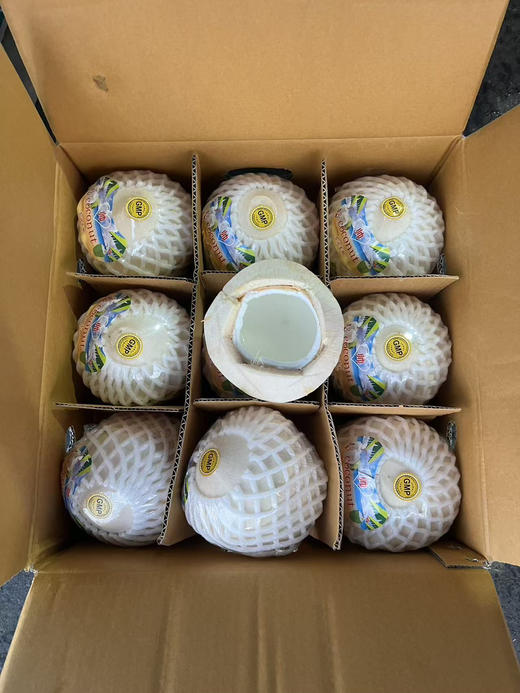 68元一箱泰国进口椰青中果9个装 商品图0