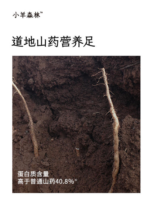 【小羊森林】山药枣香脆脆饼 商品图2