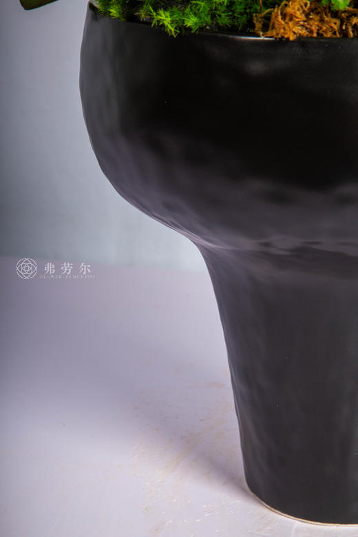 良马驮春至 商品图2