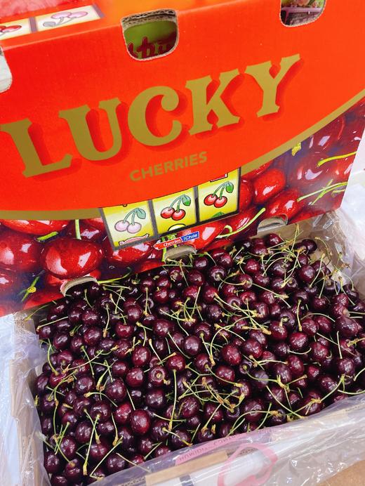 LUCKY单J车厘子一斤 商品图1