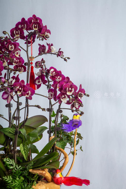 良马驮春至 商品图1