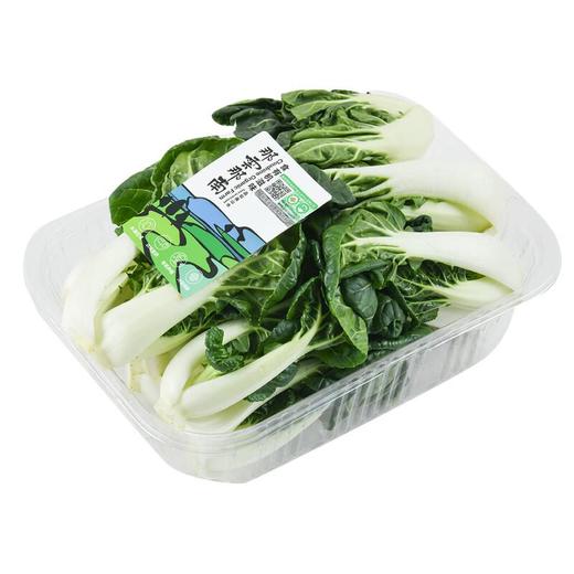 那云那南有机奶白菜苗 250g/份 商品图2