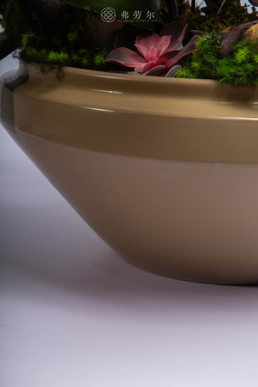 马年聚宝盆 商品图3