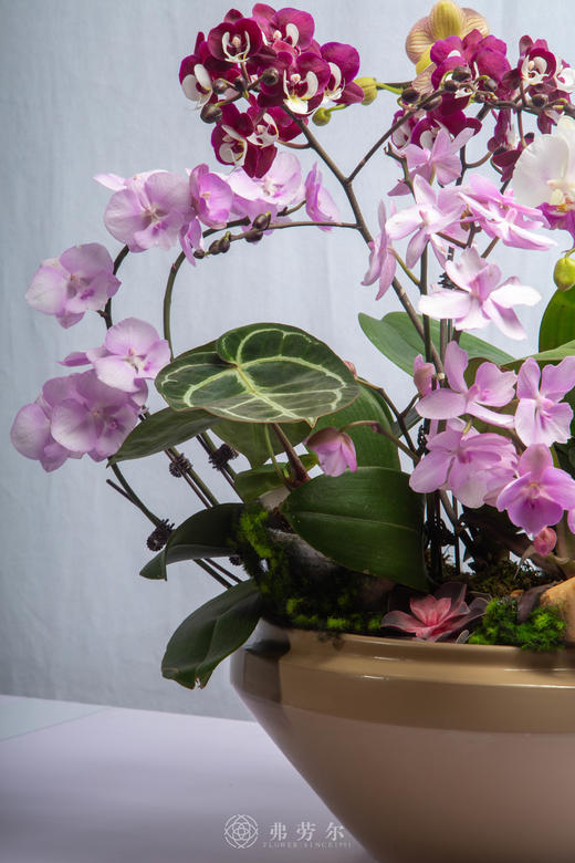 马年聚宝盆 商品图2