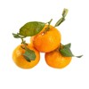 沙糖桔 1kg/份 商品缩略图2