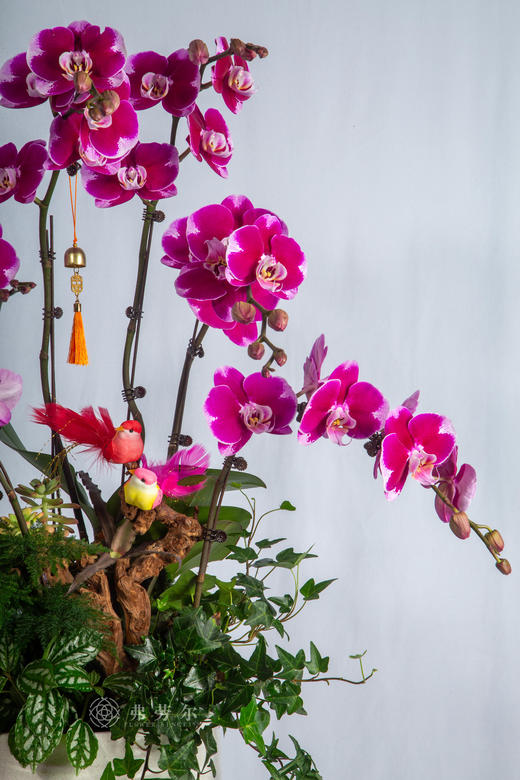 骏马驮春归 商品图1