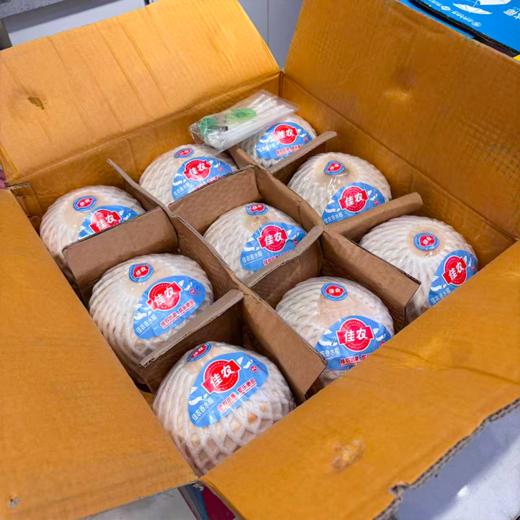 泰国佳垚青椰 椰子 商品图9