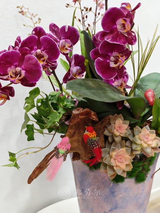 心想事成 商品图2