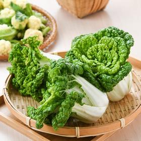 那云那南有机乌塌菜 300g/份