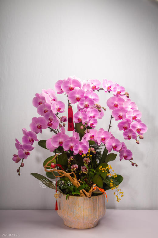 马踏雪留吉 商品图0