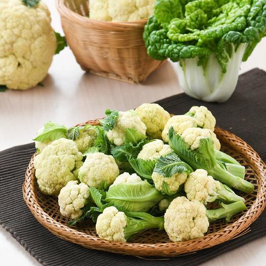 那云那南有机白花苔 300g/份 商品图3