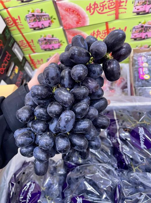 澳洲无籽黑提一箱 商品图0