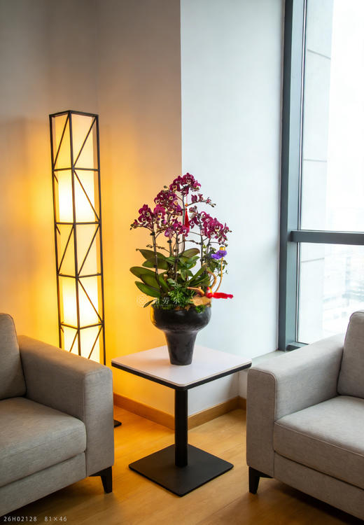 良马驮春至 商品图0