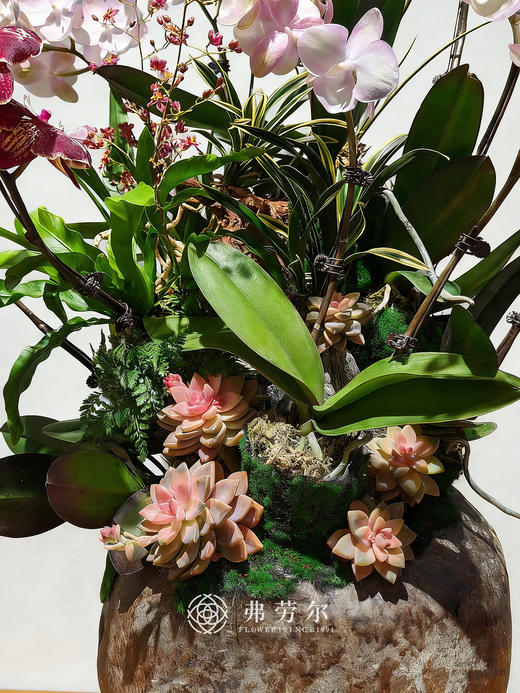 马上高升 商品图1