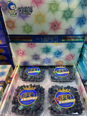 一颗莓蓝莓一箱