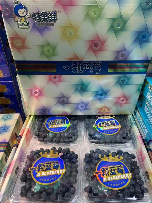 一颗莓蓝莓一箱 商品图0