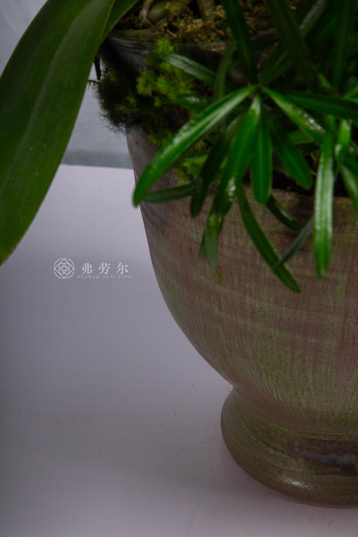 码上业长青 商品图3