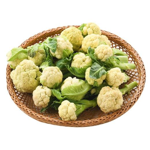 那云那南有机白花苔 300g/份 商品图2