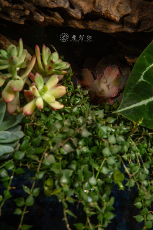 玛瑙镶福运 商品图5