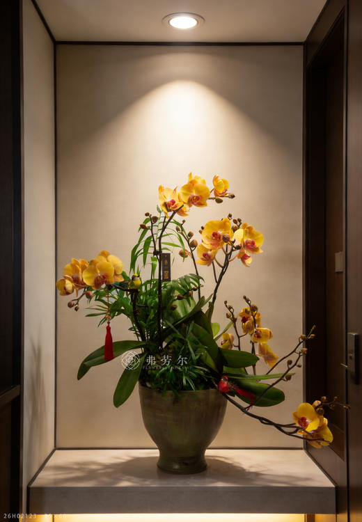 码上业长青 商品图0