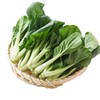 那云那南有机奶白菜苗 250g/份 商品缩略图1