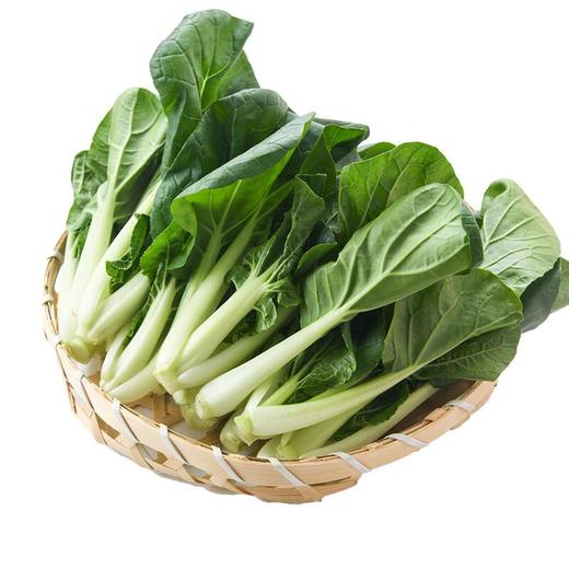 那云那南有机奶白菜苗 250g/份 商品图1