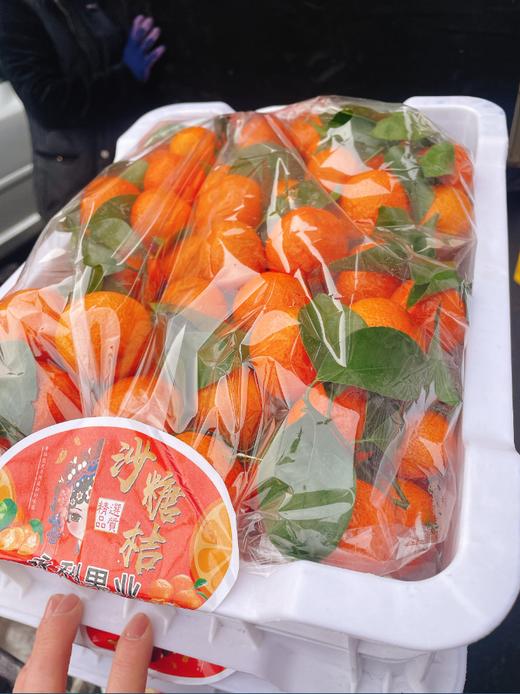 白框沙糖桔一箱 商品图0