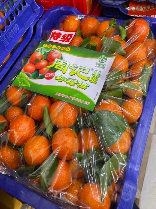 周记沙糖桔一箱 商品图2