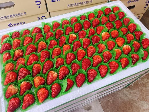 7排大板草莓一箱 商品图0