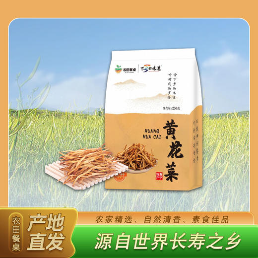 0593【国企严选，山海食材】寿宁黄花菜 250g 商品图0