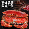 【野生海产】英国进口整只熟冻黄道蟹(面包蟹)800g  大西洋纯净海域 商品缩略图3