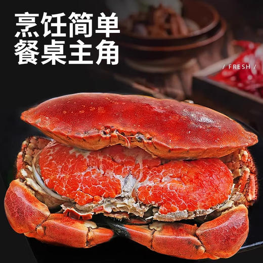 【野生海产】英国进口整只熟冻黄道蟹(面包蟹)800g  大西洋纯净海域 商品图3