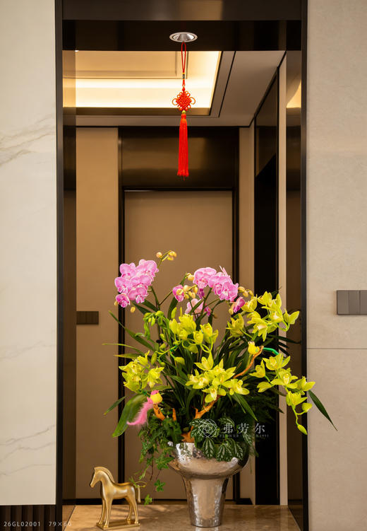 玛彩照福门 商品图0