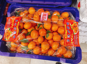 蓝框荔浦纯甜沙糖桔一箱