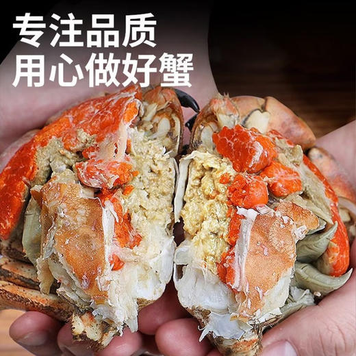 【野生海产】英国进口整只熟冻黄道蟹(面包蟹)800g  大西洋纯净海域 商品图1