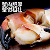 【野生海产】英国进口整只熟冻黄道蟹(面包蟹)800g  大西洋纯净海域 商品缩略图2