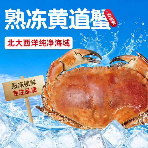 【野生海产】英国进口整只熟冻黄道蟹(面包蟹)800g  大西洋纯净海域 商品图0