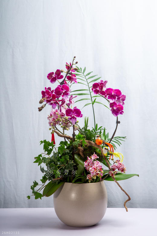 马嘶万木春 商品图0