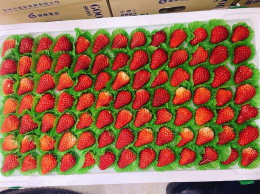 7排大板草莓一箱 商品图1