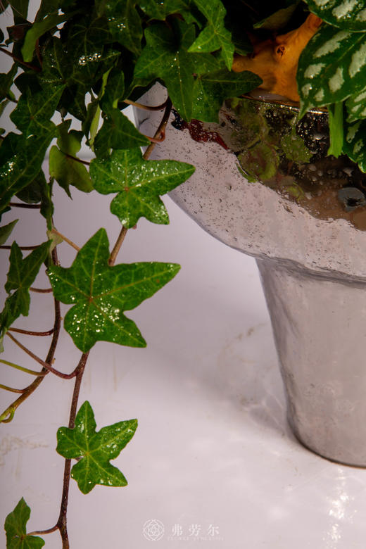 玛彩照福门 商品图3